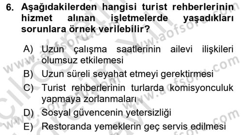 Turist Rehberliği Dersi 2020 - 2021 Yılı Yaz Okulu Sınav Soruları 6. Soru
