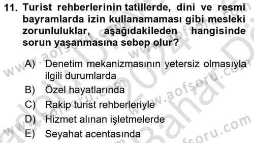Turist Rehberliği Dersi 2024 - 2025 Yılı (Vize) Ara Sınav Soruları 11. Soru