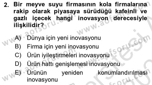 Turizmde Girişimcilik Ve İnovasyon Dersi 2021 - 2022 Yılı (Final) Dönem Sonu Sınav Soruları 2. Soru