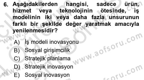 Turizmde Girişimcilik Ve İnovasyon Dersi 2023 - 2024 Yılı (Final) Dönem Sonu Sınav Soruları 6. Soru