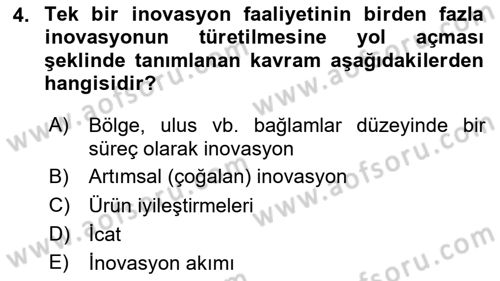 Turizmde Girişimcilik Ve İnovasyon Dersi 2024 - 2025 Yılı (Vize) Ara Sınav Soruları 4. Soru