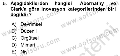 Turizmde Girişimcilik Ve İnovasyon Dersi 2024 - 2025 Yılı (Vize) Ara Sınav Soruları 5. Soru
