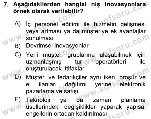 Turizmde Girişimcilik Ve İnovasyon Dersi 2024 - 2025 Yılı (Vize) Ara Sınav Soruları 7. Soru