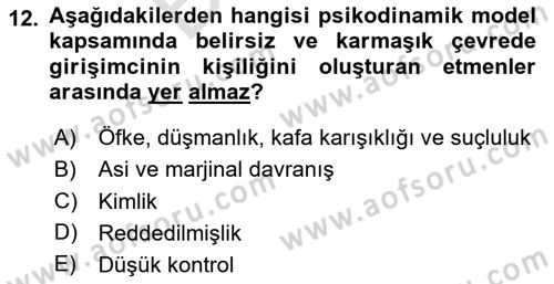 Turizmde Girişimcilik Ve İnovasyon Dersi 2024 - 2025 Yılı (Final) Dönem Sonu Sınav Soruları 12. Soru