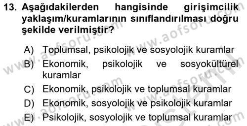 Turizmde Girişimcilik Ve İnovasyon Dersi 2024 - 2025 Yılı Yaz Okulu Sınav Soruları 13. Soru