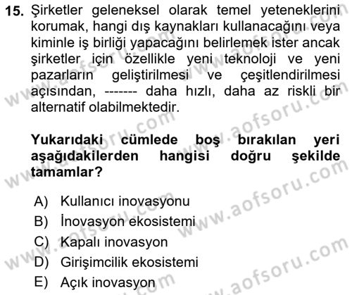 Turizmde Girişimcilik Ve İnovasyon Dersi 2024 - 2025 Yılı Yaz Okulu Sınav Soruları 15. Soru
