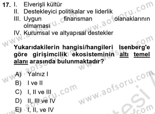 Turizmde Girişimcilik Ve İnovasyon Dersi 2024 - 2025 Yılı Yaz Okulu Sınav Soruları 17. Soru