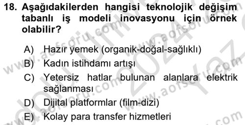 Turizmde Girişimcilik Ve İnovasyon Dersi 2024 - 2025 Yılı Yaz Okulu Sınav Soruları 18. Soru