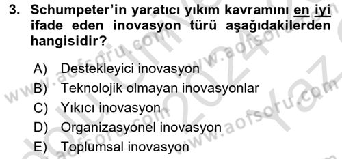 Turizmde Girişimcilik Ve İnovasyon Dersi 2024 - 2025 Yılı Yaz Okulu Sınav Soruları 3. Soru