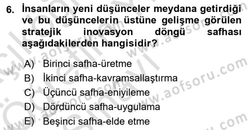 Turizmde Girişimcilik Ve İnovasyon Dersi 2024 - 2025 Yılı Yaz Okulu Sınav Soruları 6. Soru