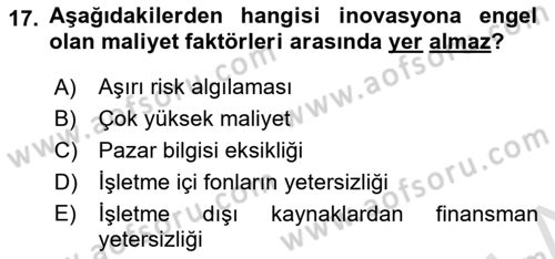 Turizmde Girişimcilik Ve İnovasyon Dersi 2025 - 2026 Yılı (Vize) Ara Sınav Soruları 17. Soru