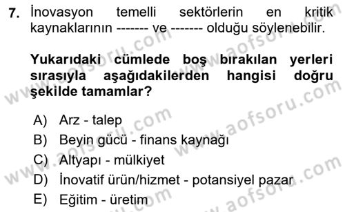 Turizmde Girişimcilik Ve İnovasyon Dersi 2025 - 2026 Yılı (Final) Dönem Sonu Sınav Soruları 7. Soru