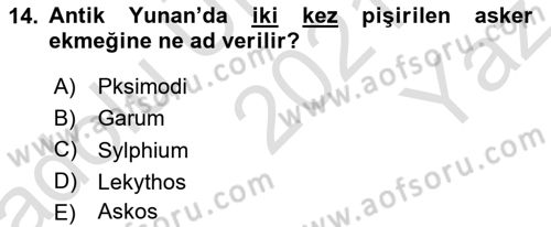 Turizm Tarihi Dersi 2021 - 2022 Yılı Yaz Okulu Sınav Soruları 14. Soru