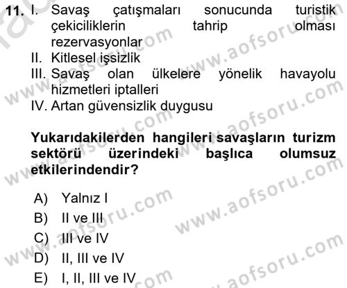 Turizm Ve Güvenlik Dersi 2020 - 2021 Yılı Yaz Okulu Sınav Soruları 11. Soru