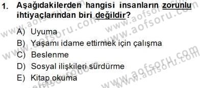 Genel Turizm Bilgisi Dersi Ara Sınavı Deneme Sınav Soruları 1. Soru