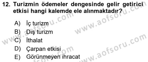 Genel Turizm Bilgisi Dersi 2021 - 2022 Yılı Yaz Okulu Sınav Soruları 12. Soru