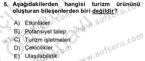 Genel Turizm Bilgisi Dersi 2022 - 2023 Yılı Yaz Okulu Sınav Soruları 5. Soru