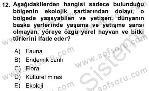 Genel Turizm Bilgisi Dersi 2023 - 2024 Yılı (Final) Dönem Sonu Sınav Soruları 12. Soru