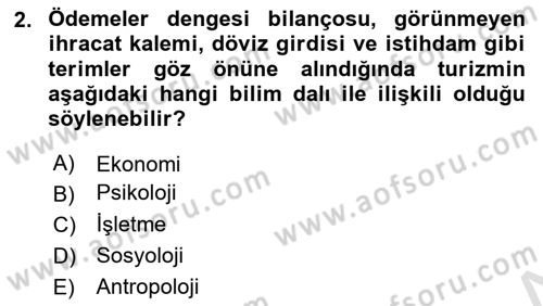 Genel Turizm Bilgisi Dersi 2024 - 2025 Yılı (Vize) Ara Sınav Soruları 2. Soru