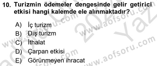 Genel Turizm Bilgisi Dersi 2024 - 2025 Yılı Yaz Okulu Sınav Soruları 10. Soru