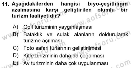 Genel Turizm Bilgisi Dersi 2024 - 2025 Yılı Yaz Okulu Sınav Soruları 11. Soru