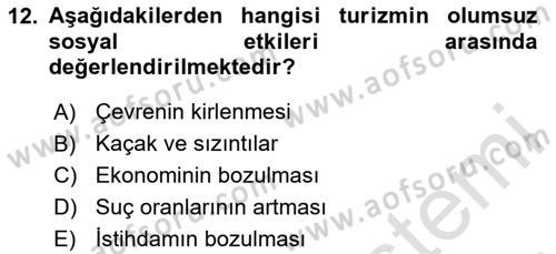Genel Turizm Bilgisi Dersi 2024 - 2025 Yılı Yaz Okulu Sınav Soruları 12. Soru