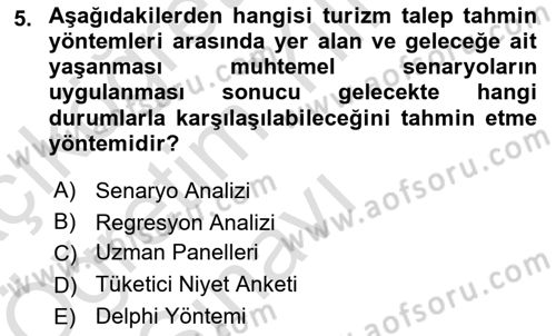 Genel Turizm Bilgisi Dersi 2024 - 2025 Yılı Yaz Okulu Sınav Soruları 5. Soru