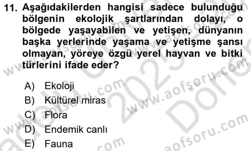 Genel Turizm Bilgisi Dersi 2025 - 2026 Yılı (Final) Dönem Sonu Sınav Soruları 11. Soru