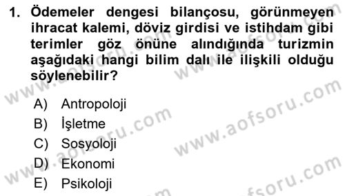 Genel Turizm Bilgisi Dersi 2025 - 2026 Yılı Yaz Okulu Sınav Soruları 1. Soru