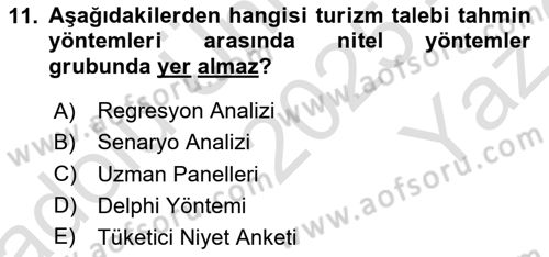 Genel Turizm Bilgisi Dersi 2025 - 2026 Yılı Yaz Okulu Sınav Soruları 11. Soru