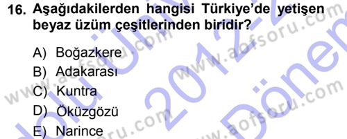 Yiyecek-İçecek Hizmetleri Dersi 2012 - 2013 Yılı (Final) Dönem Sonu Sınav Soruları 16. Soru