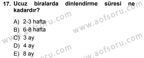 Yiyecek-İçecek Hizmetleri Dersi 2012 - 2013 Yılı (Final) Dönem Sonu Sınav Soruları 17. Soru