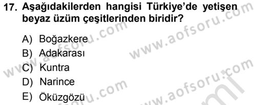 Yiyecek-İçecek Hizmetleri Dersi 2013 - 2014 Yılı Tek Ders Sınav Soruları 17. Soru