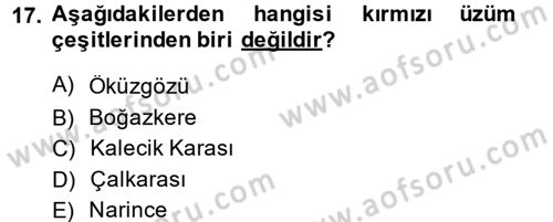 Yiyecek-İçecek Hizmetleri Dersi 2014 - 2015 Yılı Tek Ders Sınav Soruları 17. Soru