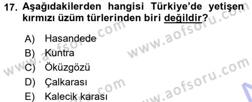 Yiyecek-İçecek Hizmetleri Dersi 2015 - 2016 Yılı (Final) Dönem Sonu Sınav Soruları 17. Soru