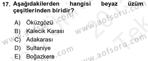 Yiyecek-İçecek Hizmetleri Dersi 2015 - 2016 Yılı Tek Ders Sınav Soruları 17. Soru