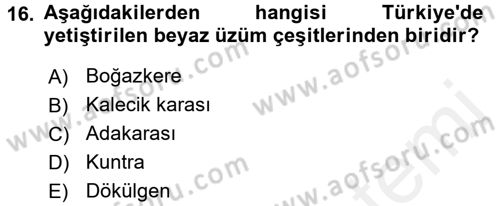 Yiyecek-İçecek Hizmetleri Dersi 2017 - 2018 Yılı (Final) Dönem Sonu Sınav Soruları 16. Soru