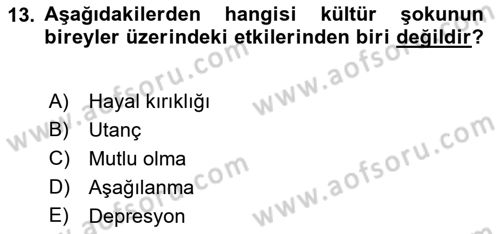 Turizm Ve İletişim Dersi 2022 - 2023 Yılı Yaz Okulu Sınav Soruları 13. Soru