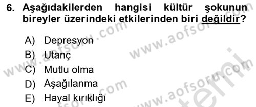 Turizm Ve İletişim Dersi 2024 - 2025 Yılı (Final) Dönem Sonu Sınav Soruları 6. Soru