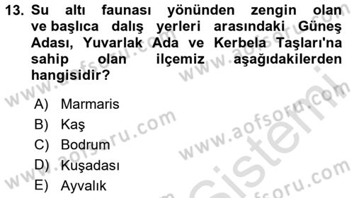 Deniz Turizmi İşletmeciliği Dersi 2020 - 2021 Yılı Yaz Okulu Sınav Soruları 13. Soru
