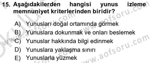 Deniz Turizmi İşletmeciliği Dersi 2020 - 2021 Yılı Yaz Okulu Sınav Soruları 15. Soru