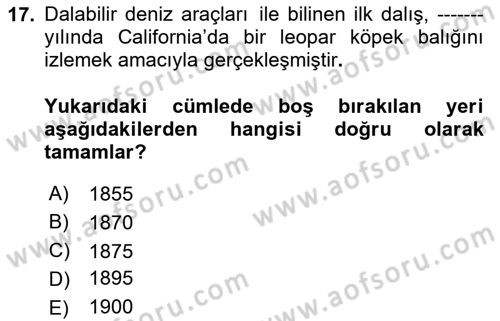 Deniz Turizmi İşletmeciliği Dersi 2020 - 2021 Yılı Yaz Okulu Sınav Soruları 17. Soru