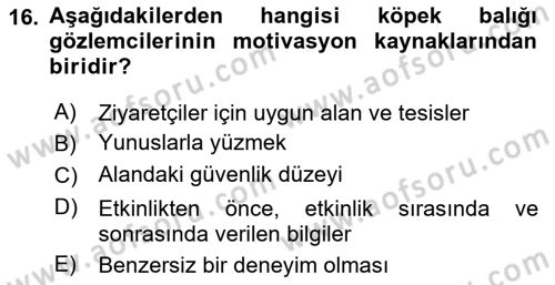 Deniz Turizmi İşletmeciliği Dersi 2021 - 2022 Yılı Yaz Okulu Sınav Soruları 16. Soru
