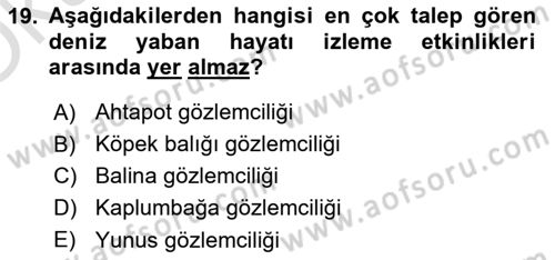 Deniz Turizmi İşletmeciliği Dersi 2021 - 2022 Yılı Yaz Okulu Sınav Soruları 19. Soru