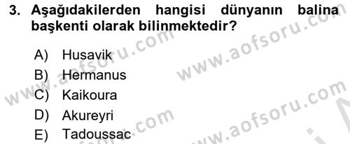 Deniz Turizmi İşletmeciliği Dersi 2021 - 2022 Yılı Yaz Okulu Sınav Soruları 3. Soru