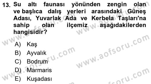 Deniz Turizmi İşletmeciliği Dersi 2022 - 2023 Yılı Yaz Okulu Sınav Soruları 13. Soru