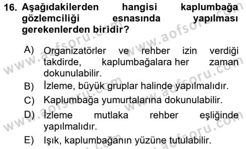 Deniz Turizmi İşletmeciliği Dersi 2022 - 2023 Yılı Yaz Okulu Sınav Soruları 16. Soru