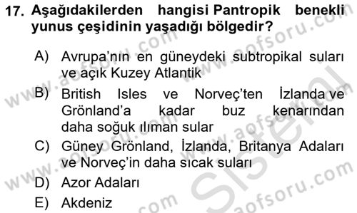 Deniz Turizmi İşletmeciliği Dersi 2022 - 2023 Yılı Yaz Okulu Sınav Soruları 17. Soru