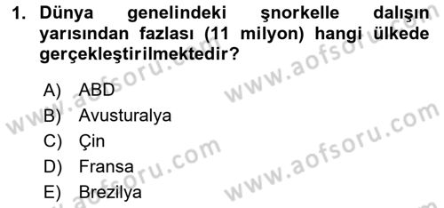 Deniz Turizmi İşletmeciliği Dersi 2023 - 2024 Yılı (Vize) Ara Sınav Soruları 1. Soru