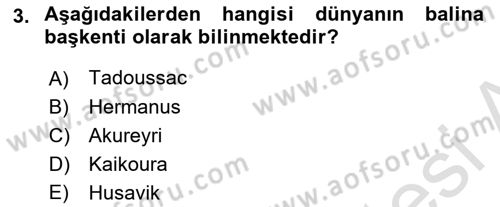 Deniz Turizmi İşletmeciliği Dersi 2023 - 2024 Yılı (Vize) Ara Sınav Soruları 3. Soru